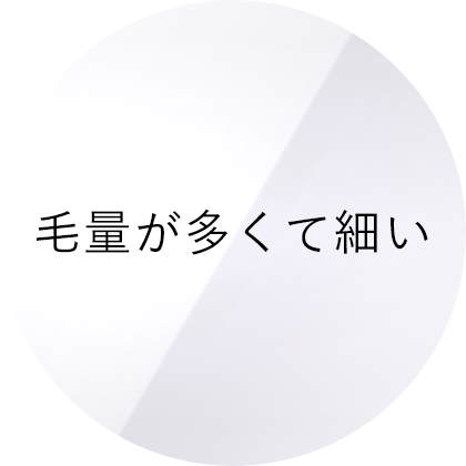 毛量が多くて細い