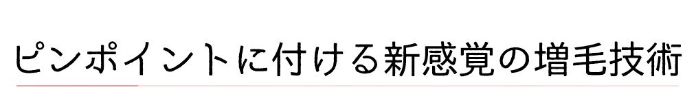 薄くなった部分や気になる部分へ ピンポイントに付ける新感覚の増毛技術